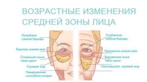 В средней части лица находится много мышечной ткани, кожа в этой зоне увядает быстрее