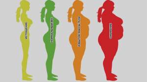 Индекс массы тела. Что такое женское ожирение
